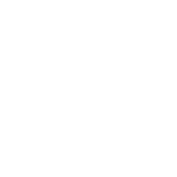 logoInstagram